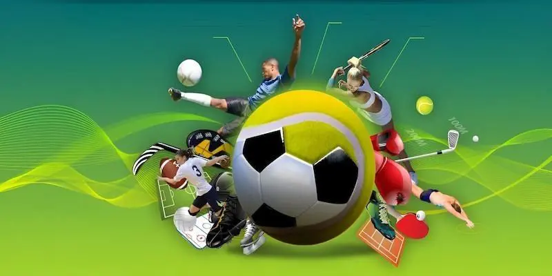 Sử dụng dữ liệu thống kê từ số thực tế để củng cố lập luận