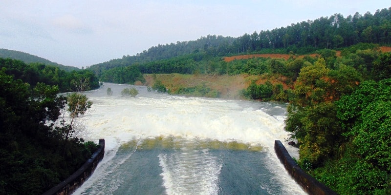 Thấy bản thân bơi giữa dòng nước mát