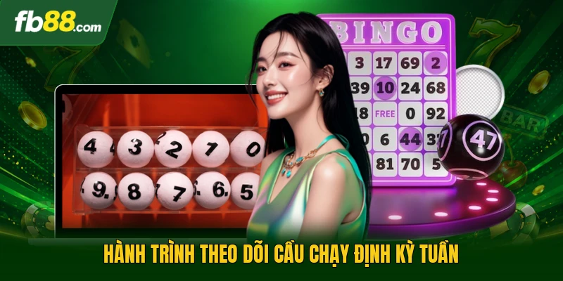 Hành trình theo dõi cầu chạy định kỳ tuần
