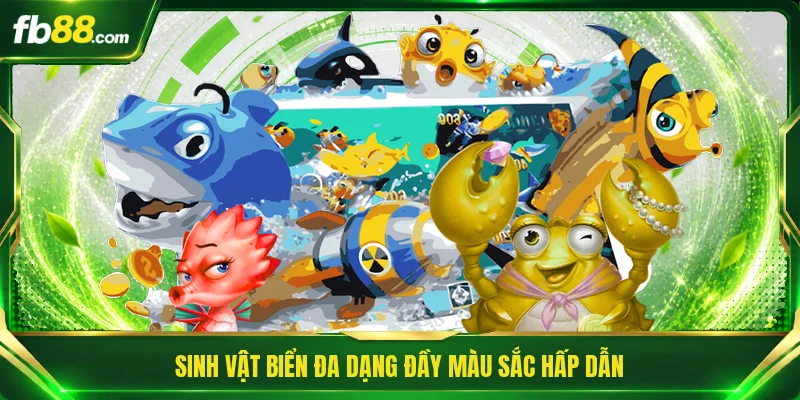 Sinh vật biển đa dạng đầy màu sắc hấp dẫn