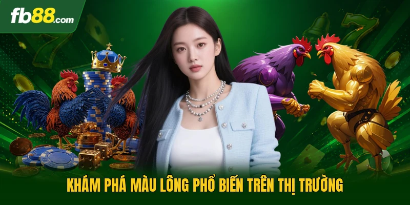 Khám phá màu lông phổ biến trên thị trường