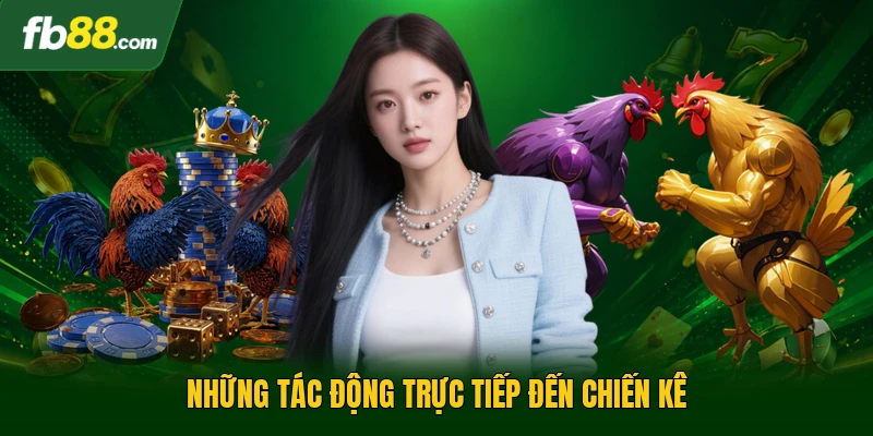 Những tác động trực tiếp đến chiến kê