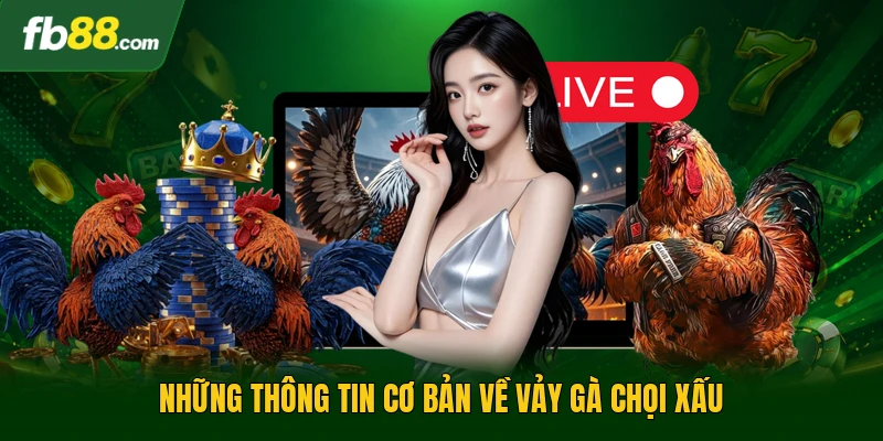 Những thông tin cơ bản về vảy gà chọi xấu