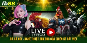 Đá Gà Nòi - Nghệ Thuật Rèn Đúc Của Chiến Kê Đất Việt