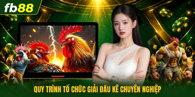 Quy trình tổ chức giải đấu kê chuyên nghiệp