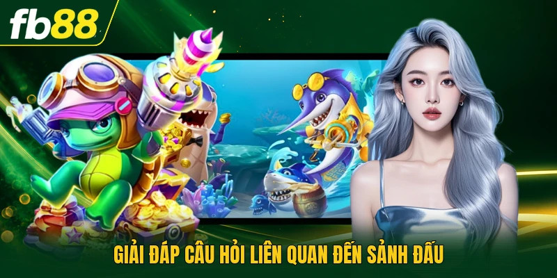 Giải đáp câu hỏi liên quan đến sảnh đấu