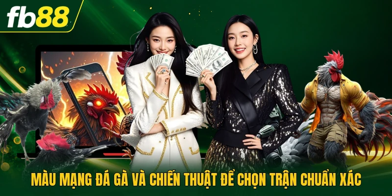 Màu Mạng Đá Gà Và Chiến Thuật Để Chọn Trận Chuẩn Xác